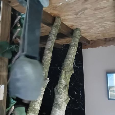 La Grange De Paul Au Domaine Du Reuze Appartement Winnezeele Buitenkant foto